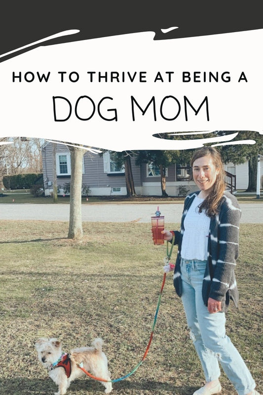 How to thrive at being a "dog mom" - The Paw Pack Goods