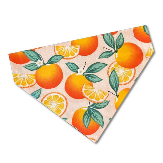 Squeeze Me Pet Bandana - The Paw Pack Goods